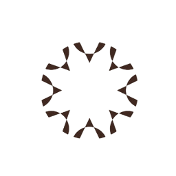 NAAS Development developer Logo