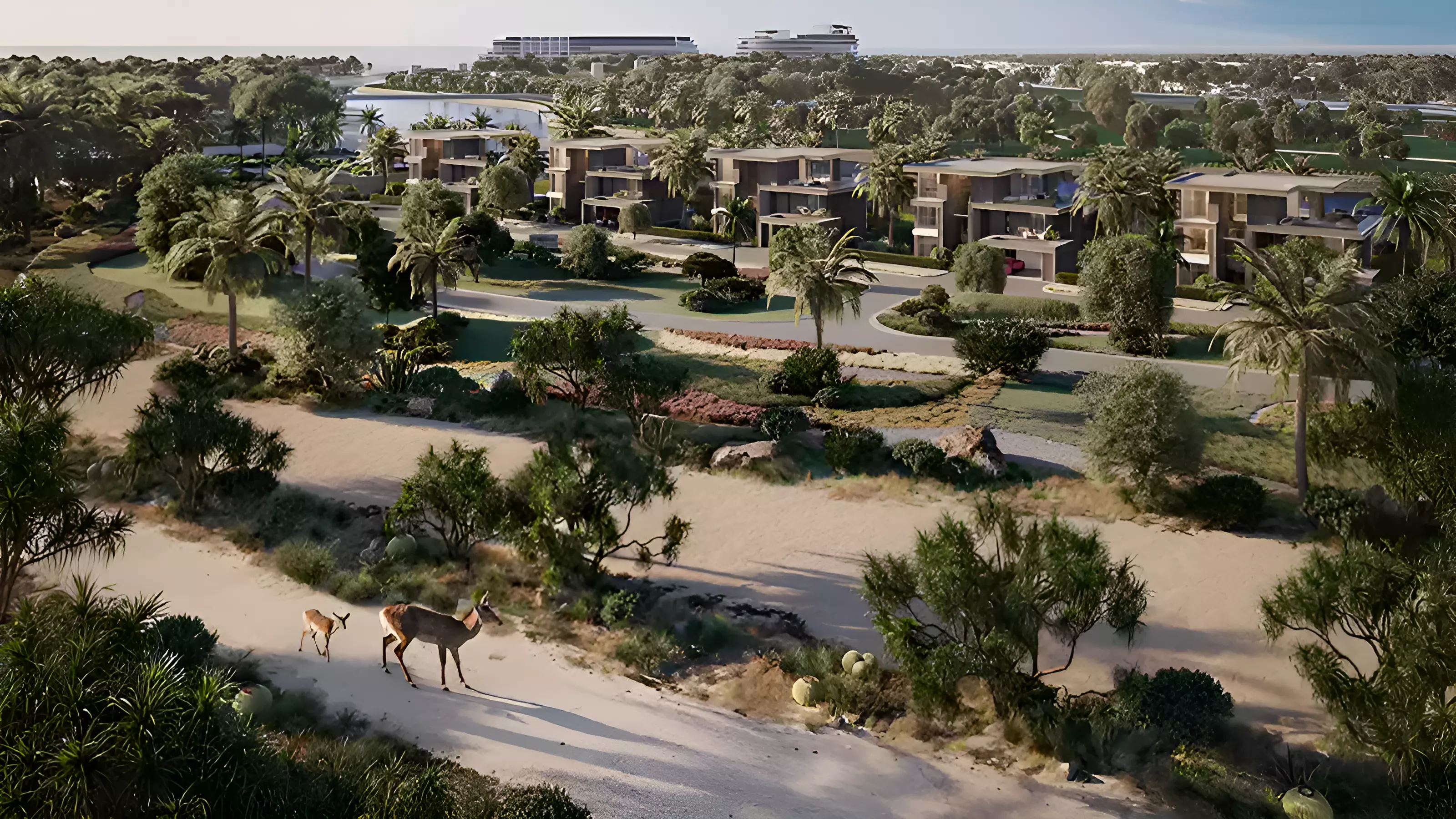 Jacob & Co. Beachfront Living - image 8