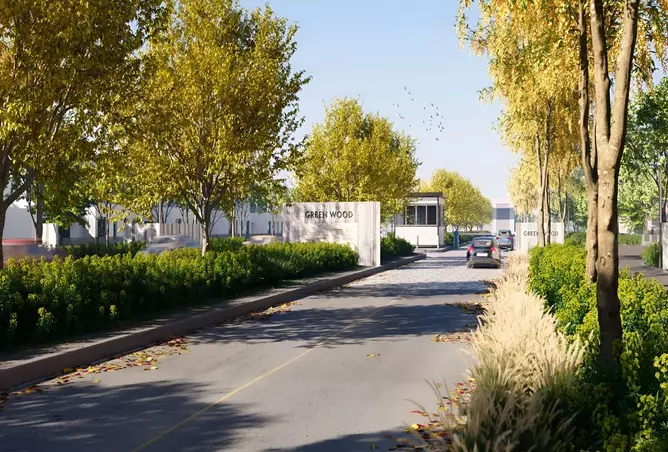 Green Wood - Image 3