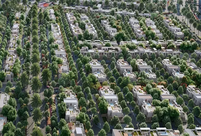 Green Wood - Image 4