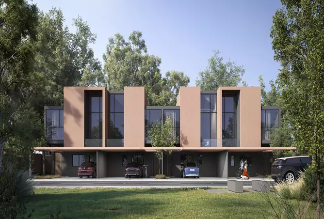 Robinia - Image 6