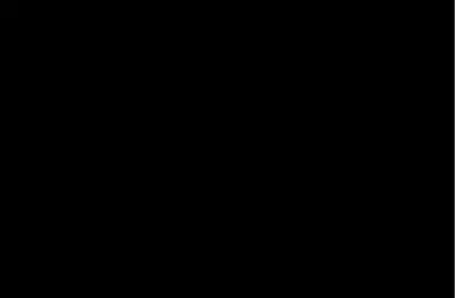project information