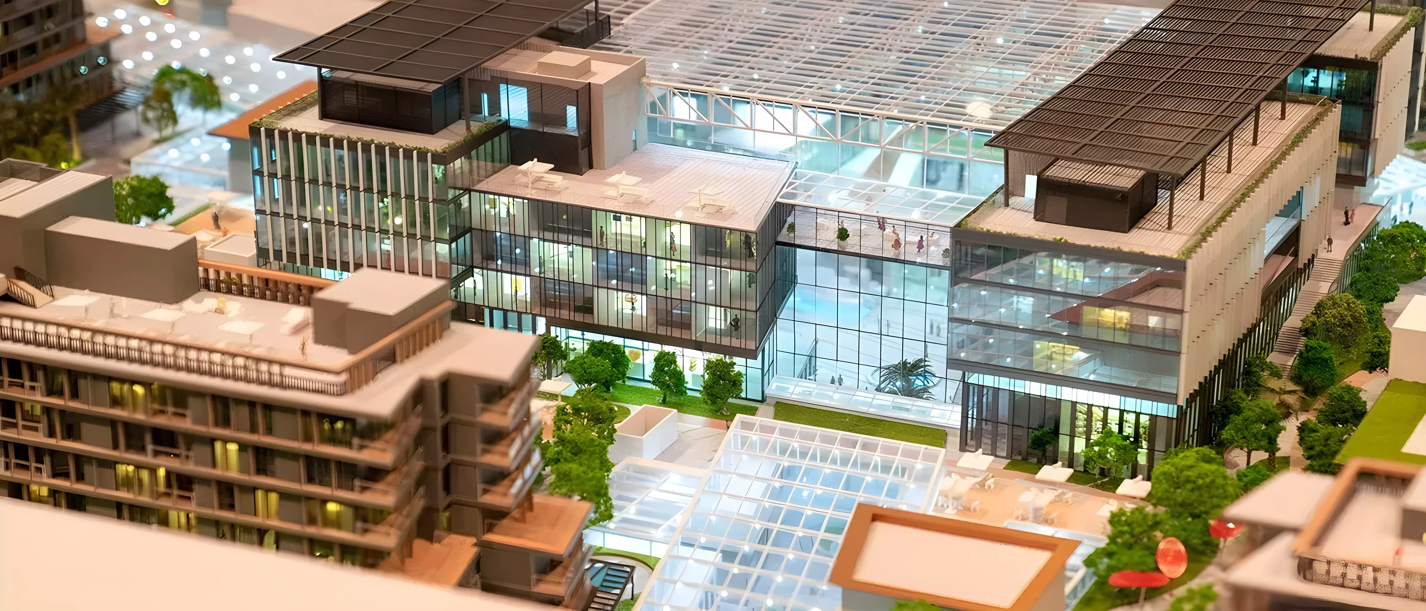 Saadiyat Grove — photo 3 of 6