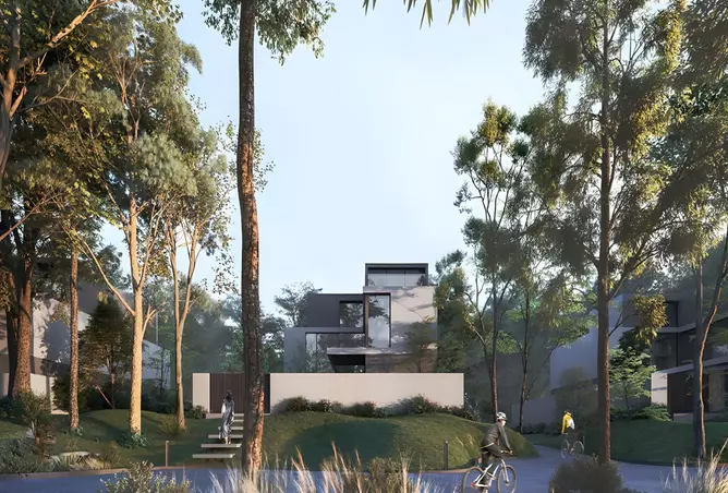 Sequoia — Tilal City
