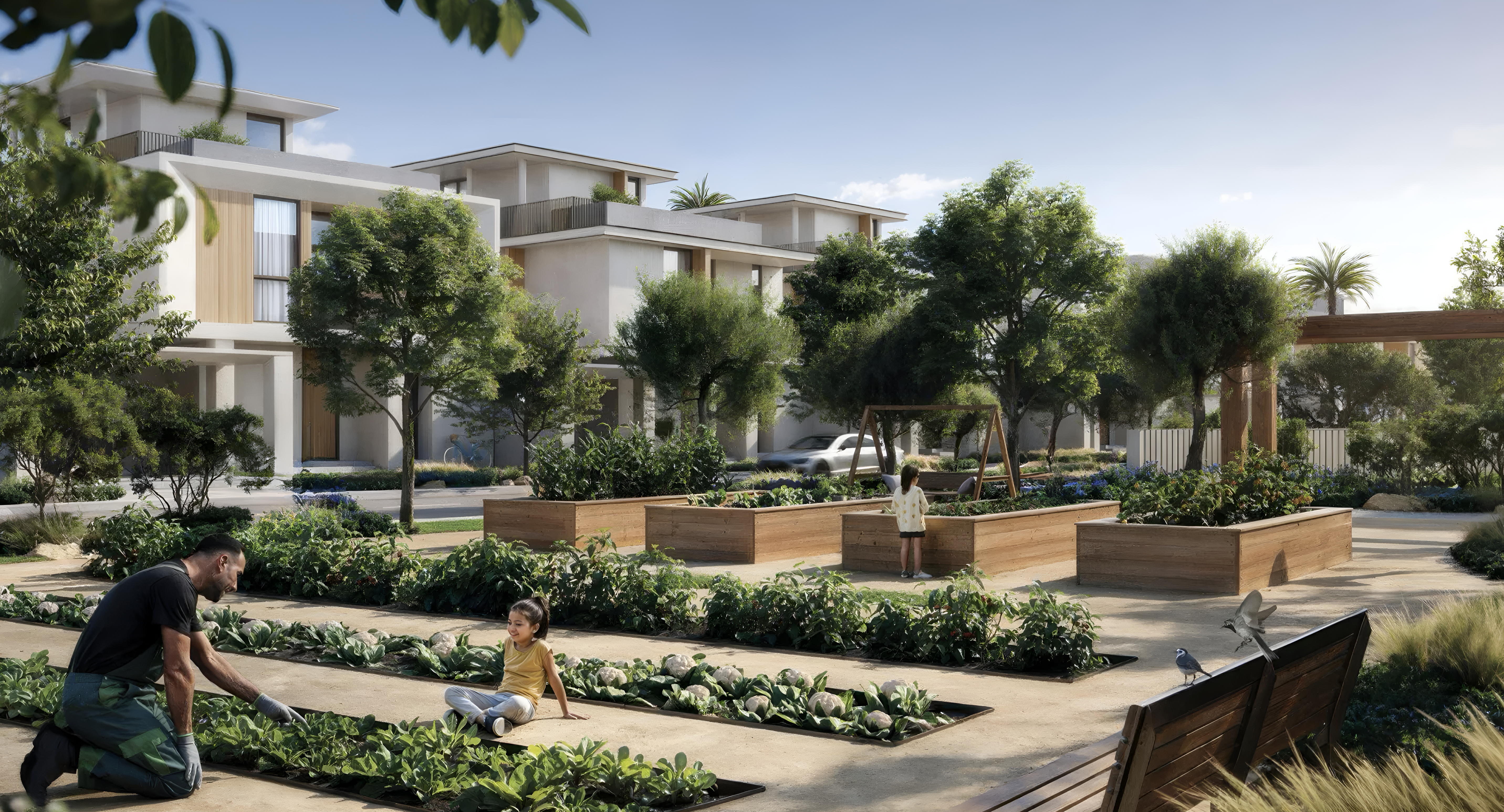 Farm Grove - image 12