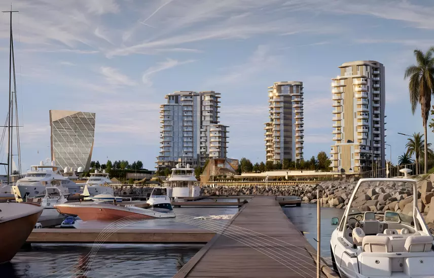 صورة بطل المشروع