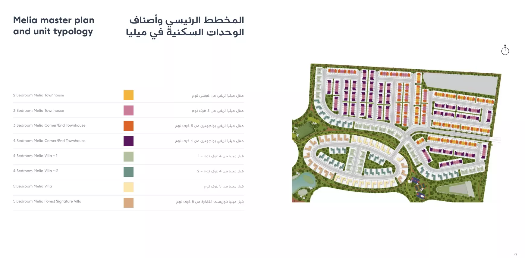 عرض المخطط الرئيسي للمشروع