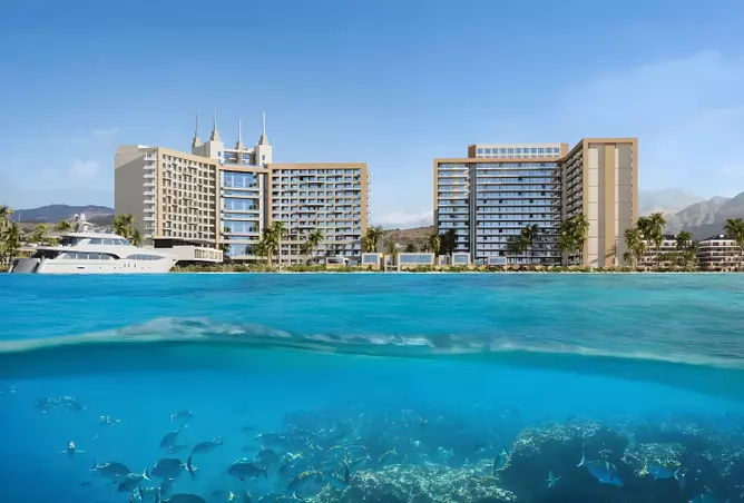 Oceana - Image 10