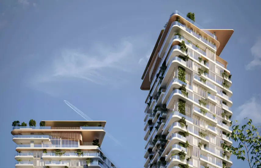 صورة بطل المشروع