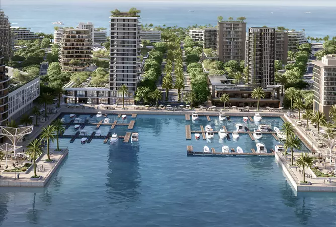 Mirasol - Image 7
