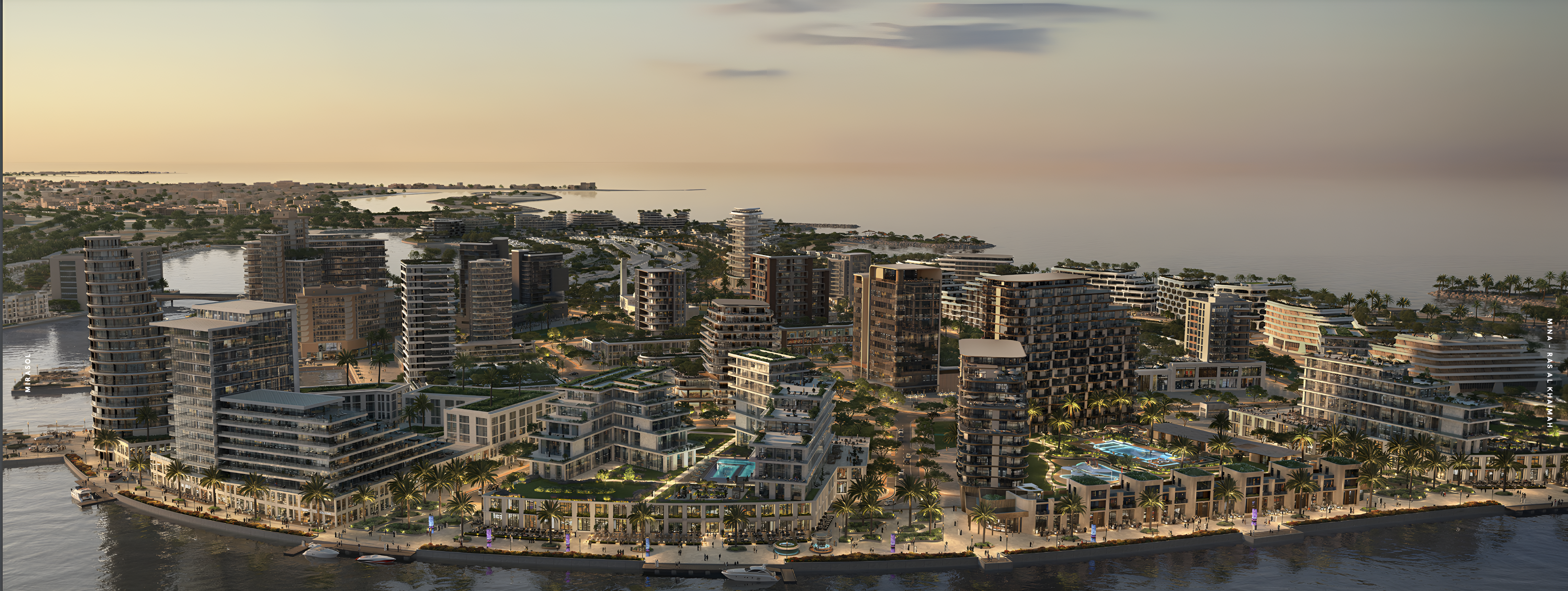 Mirasol 4
