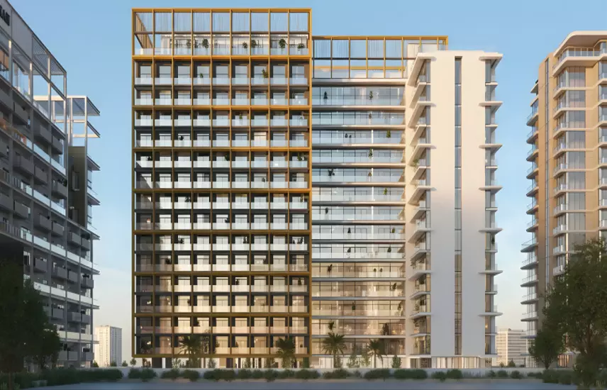 صورة بطل المشروع