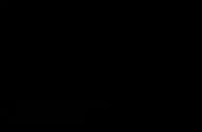project information
