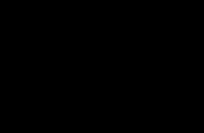 project information