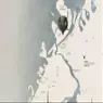 Seacliff - image 11