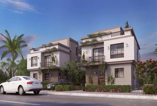 زايد جرينز المرحلة 2